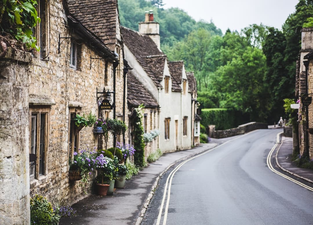 Local businesses in Surrey, Surrey